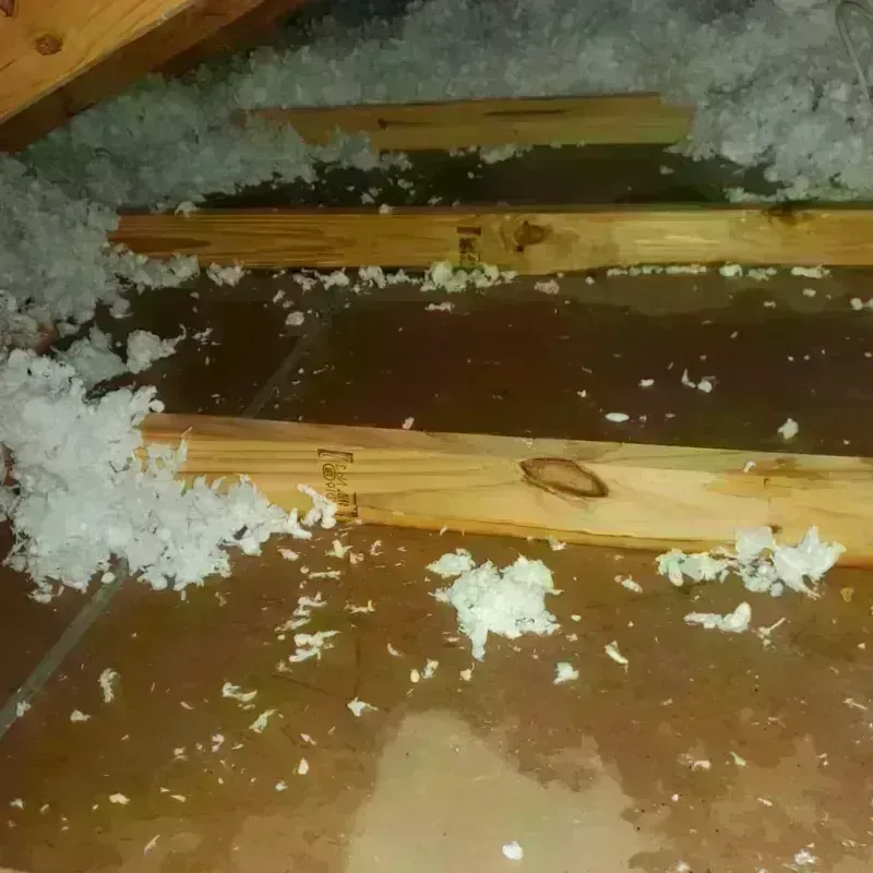 Attic Water Damage in Randall County, TX