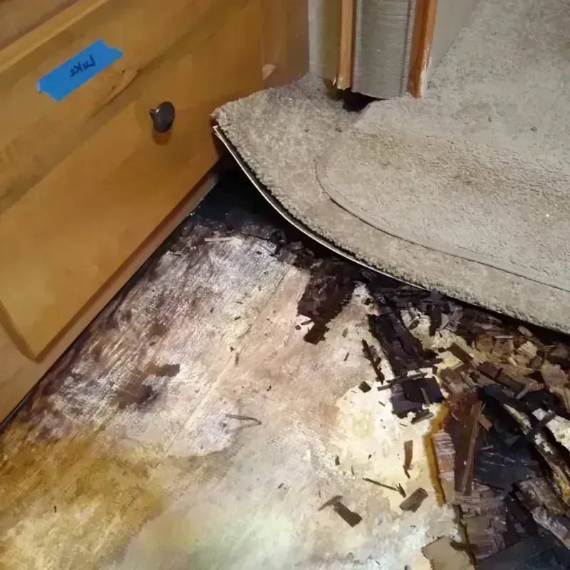 Wood Floor Water Damage in Randall County, TX